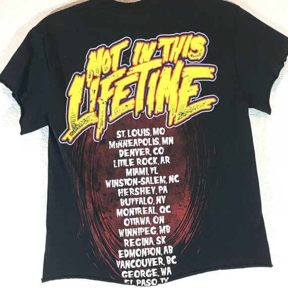 Concert Tour T Shirt Guns n Roses Los Angeles Not in This Lifetime - Picture 9 of 9